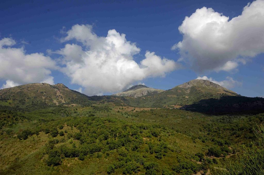 Vila Casale Drinzi Collesano Exteriér fotografie